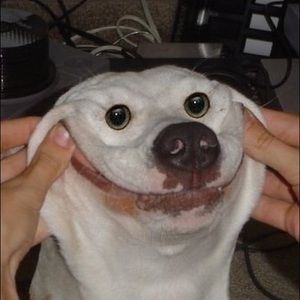 Meet your Posher, Jackson